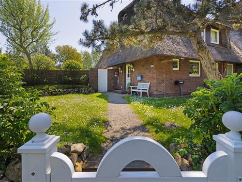 Holiday home - 4 persons -  - Süderheidetal - 25992 - List