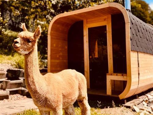 Holiday home - 13 persons -  - Oenzlen - 3472 - Wynigen