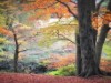 Bild 32