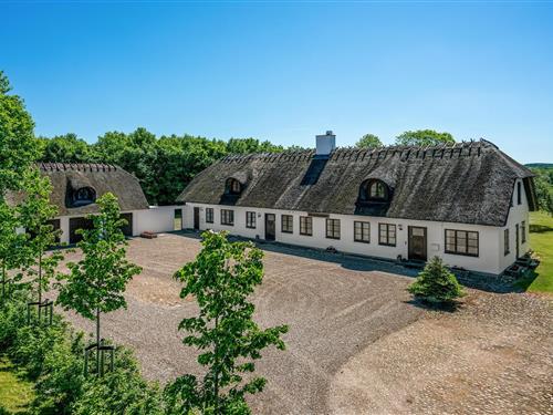 Sommerhus - 8 personer -  - Hårevej - Tanderup - 5591 - Gelsted