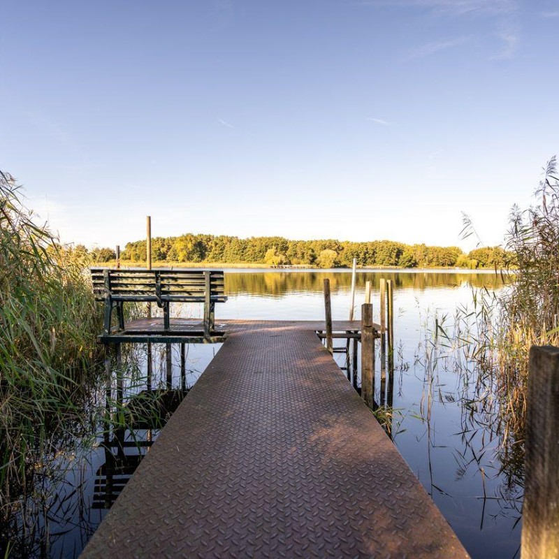 Sommerhus - 4 personer -  - Gaarzer Mühle - 17248 - Lärz