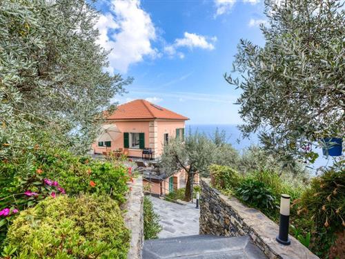 Sommerhus - 6 personer -  - via Teriasca - 16031 - Pieve Ligure