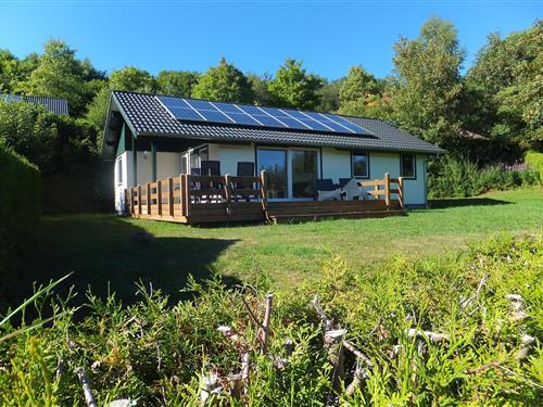 Bungalow - 6 personer -  - 53949 - Dahlem