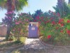 Bild 33 - Ude