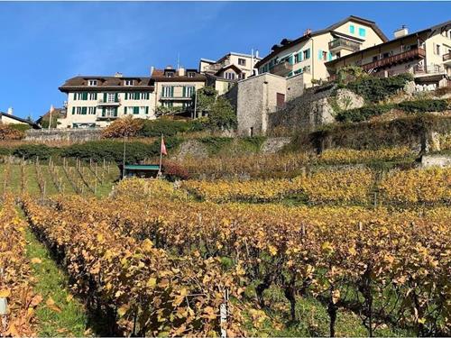 Feriehus - 6 personer -  - 1816 - Chailly-Montreux
