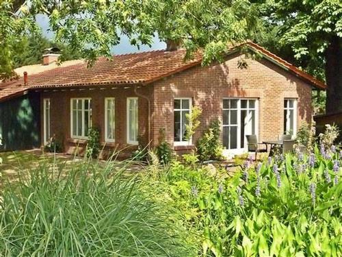 Ferieleilighet - 1 person -  - Klein Meckelsen - 27419