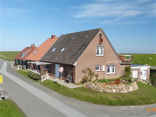 Ferieleilighet - 5 personer -  - Norderhafen - 25845 - Nordstrand