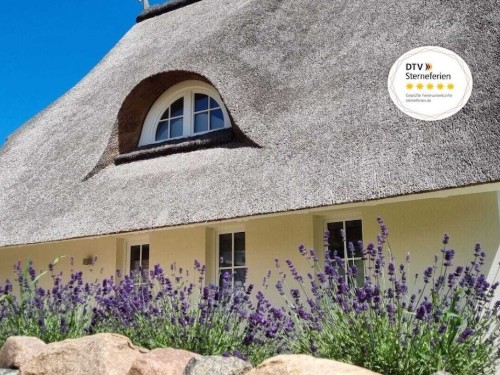 Sommerhus - 6 personer -  - 18233 - Am Salzhaff
