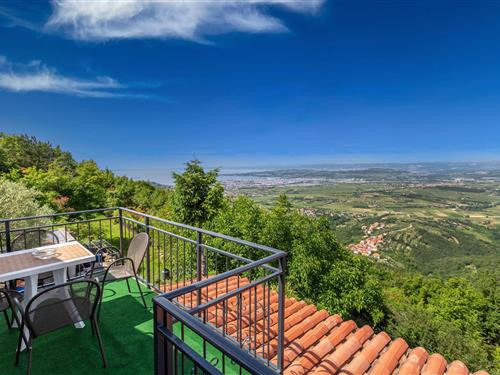 Holiday apartment - 4 persons -  - Pomjan - Smarje-Pomjan - 6274 - Smarje