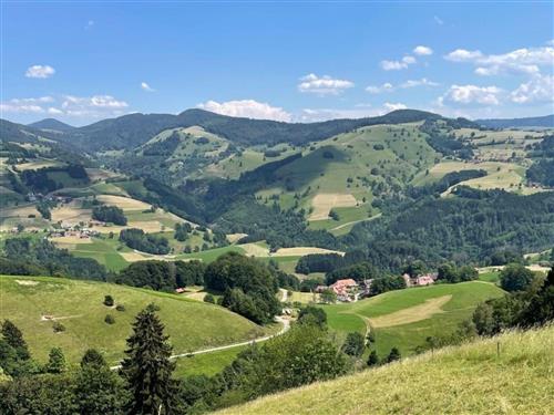 Semesterlägenhet - 4 personer -  - Hausen - 79688