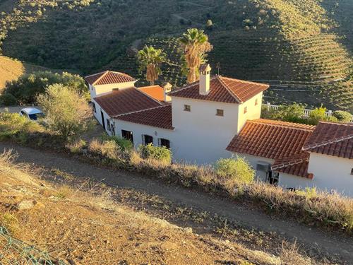 Villa - 9 persons -  - 29753 - Arenas