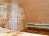 Bilde 5