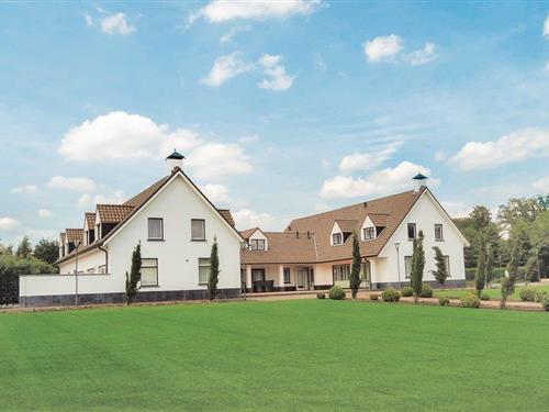 Sommerhus - 30 personer -  - Maasstraat - 5995 ND - Kessel