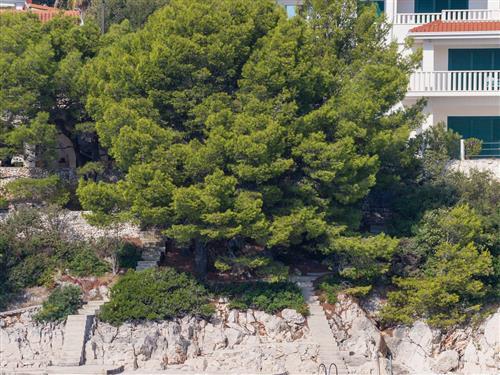 Ferieleilighet - 3 personer -  - Stivašnica 186A, Ražanj - 22203 - Rogoznica