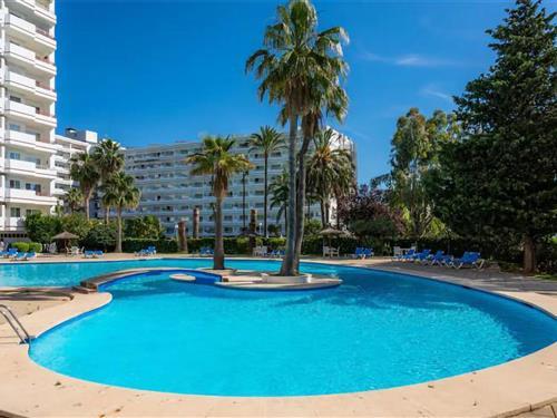 Semesterhus/Semesterlägenhet - 4 personer -  - Avinguda de Pere Mas i Reus - 07400 - Alcudia