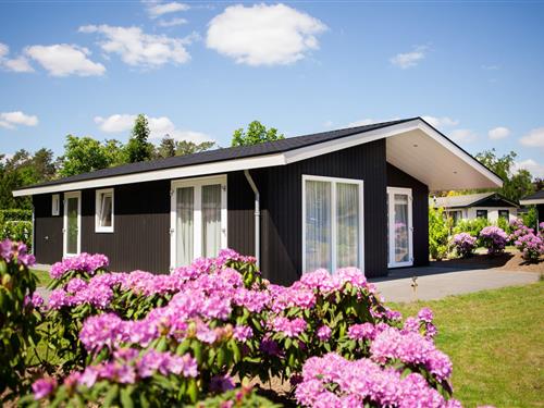 Chalet - 6 personer -  - 5506LA - Veldhoven