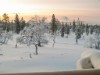 Bild 5 - Inde