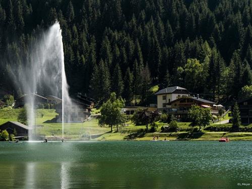 Ferielejlighed - 3 personer -  - 74390 - Châtel