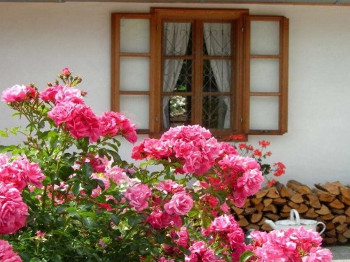 Sommerhus - 2 personer -  - 8160 - Landscha Bei Weiz