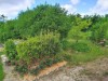 Image 7 - Outside