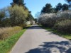 Bilde 51