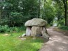 Billede 8 - Aktivitet