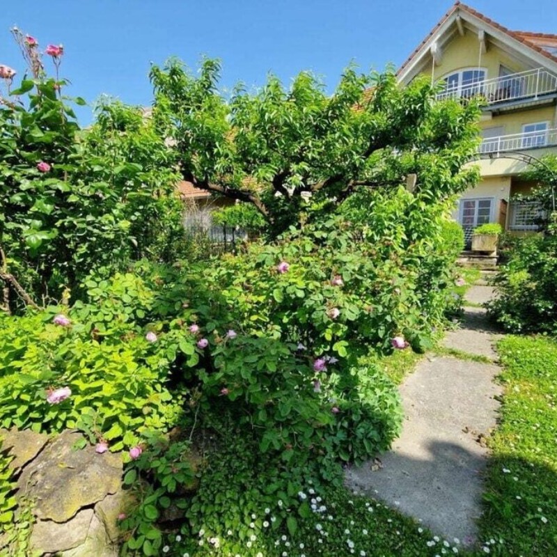 Sommerhus - 2 personer -  - 79346 - Endingen-Königschaffhausen