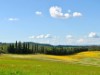 Bild 18