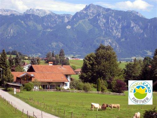 Ferielejlighed - 2 personer -  - Hintere Schöne - 87669 - Rieden Am Forggensee