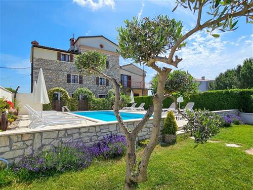 Semesterlägenhet - 2 personer -  - Novigrad (Istra) - 52466