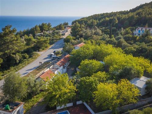 Holiday apartment - 5 persons -  - Zabrežje b.b. - 20225 - Babino Polje