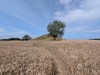 Billede 36