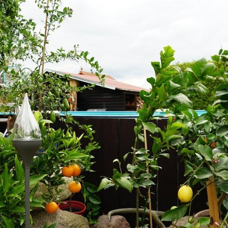 Ferielejlighed - 4 personer -  - Turnerstr. - 16356 - Neu Lindenberg