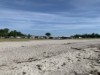 Billede 35
