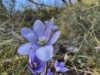 Bild 44
