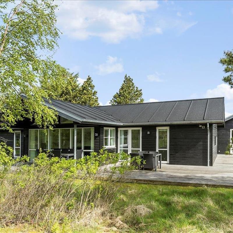 Ferienhaus - 6 Personen -  - Havtornvej - Tversted - 9881 - Bindslev