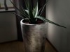 Bild 41