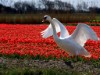 Bild 24 - Aussen