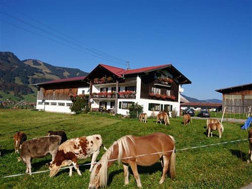 Sommerhus - 5 personer -  - Oberdorf - 87538 - Obermaiselstein