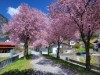Bilde 7 - Ude