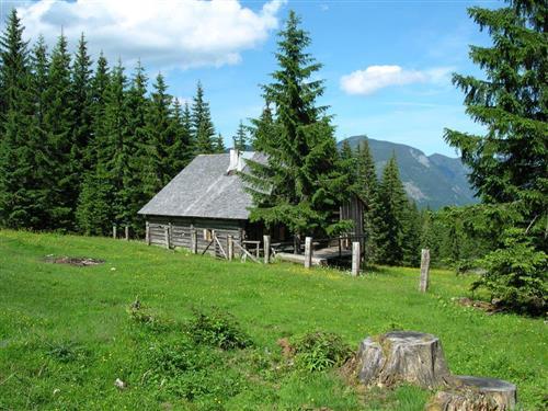 Holiday Home/Apartment - 10 persons -  - 4824 - Gosau