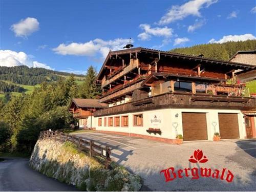 Holiday apartment - 2 persons -  - Alpbach - 6236 - Alpbach