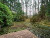 Bilde 3