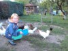 Bild 24