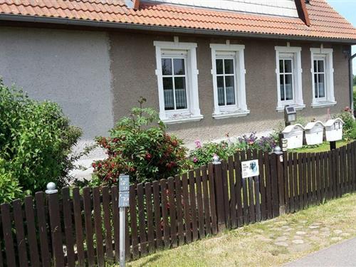 Ferienhaus - 4 Personen -  - Bergstr. - 17375 - Seebad Ueckermünde