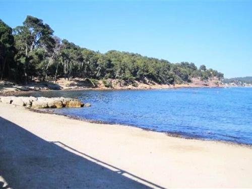 Semesterlägenhet - 6 personer -  - 83430 - St Mandrier Sur Mer