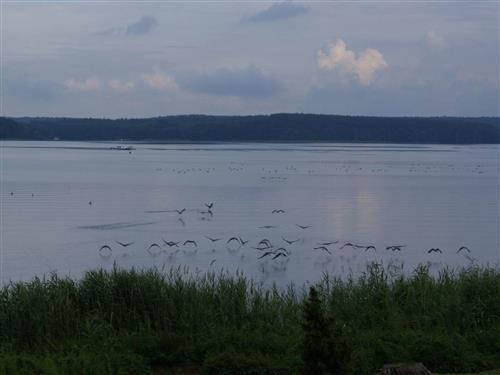 Semesterlägenhet - 2 personer -  - Plau Am See - 19395
