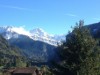 Bilde 7