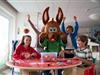 Bild 16