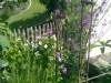 Bild 27 - Aussen